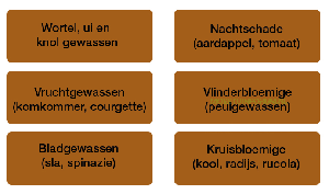 teeltplan-wisselteelt-moestuin-6jarig-klein.png